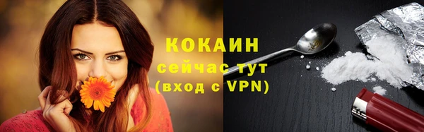 спайс Лагань