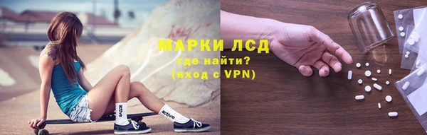 стафф Лабытнанги