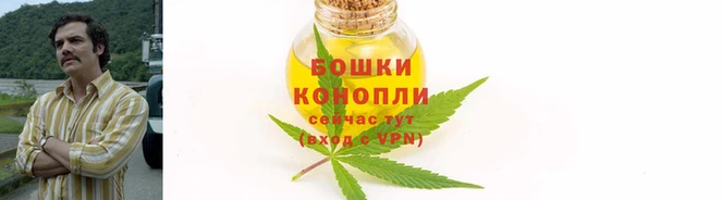 бошки Кулебаки