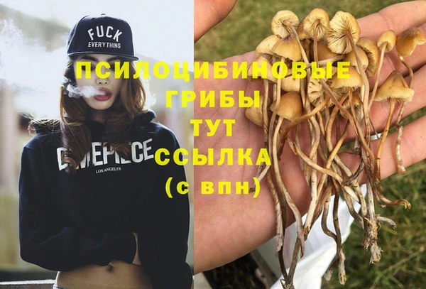 спайс Лагань