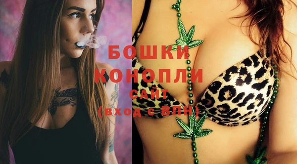 спайс Лагань
