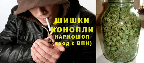 стафф Лабытнанги