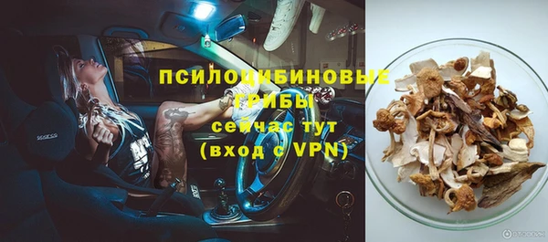 спайс Лагань