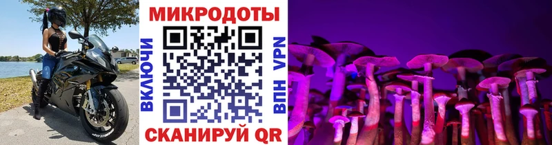 МЕГА   Среднеколымск  Галлюциногенные грибы GOLDEN TEACHER 