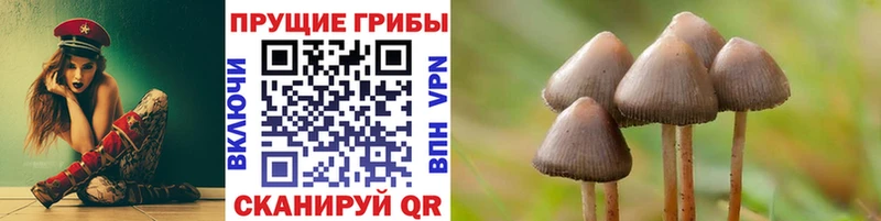 Псилоцибиновые грибы Psilocybe Среднеколымск